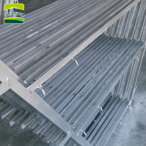 New style 45 days chicken cage