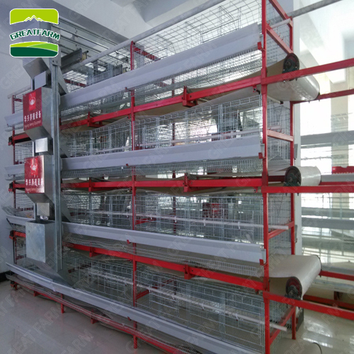 2020 Cheap H type professional layer cage chicken poultry cage with automatic drinking system for farms