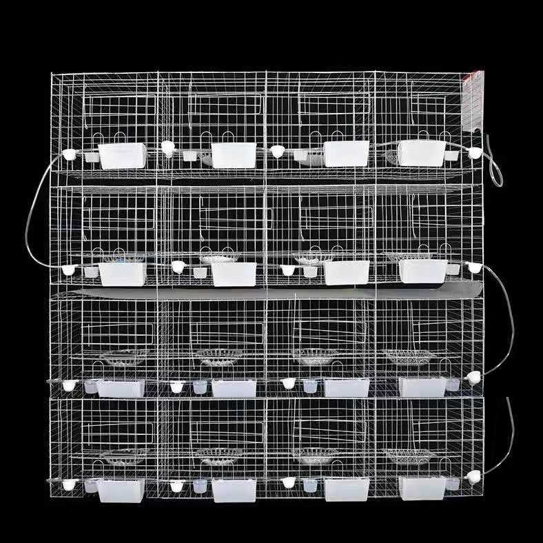 H type quail cage design for poultry farm