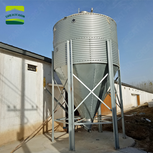 Automatic poultry equipment chicken farm design