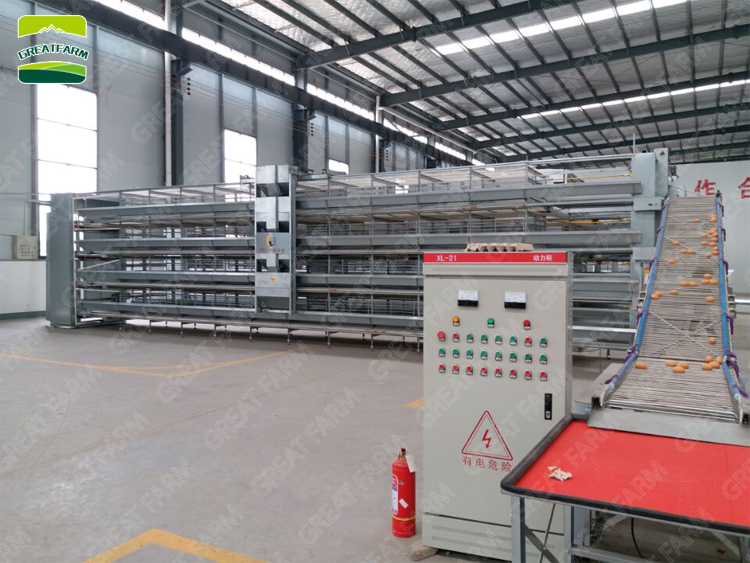 New design H type professional layer egg chicken cage chicken poultry cage automatic chicken cage for farms