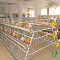 baby chick cage