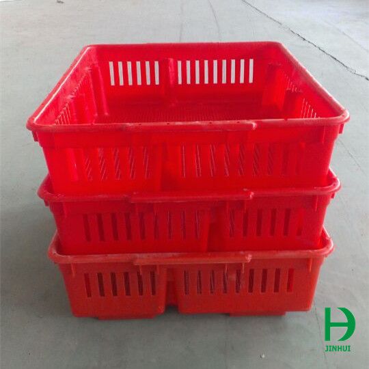 transport cages