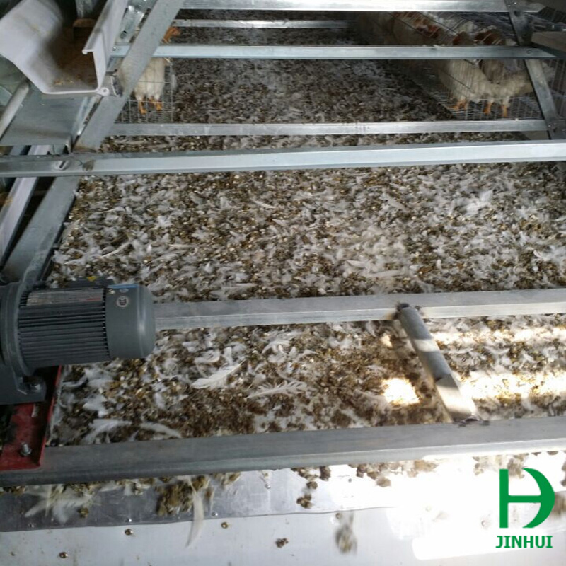 belt manure removal system