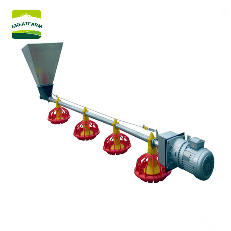 Poultry automatic feed line