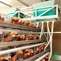 chicken feeders for sale