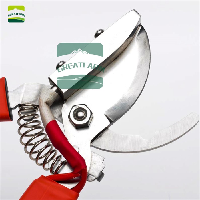 Pig tail cutters
