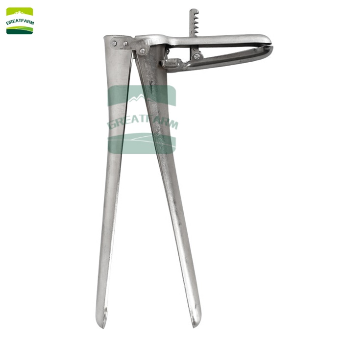 vaginal dilator