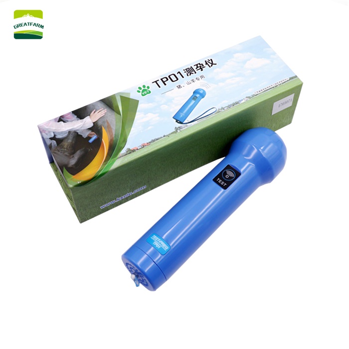 Ultrasound portable