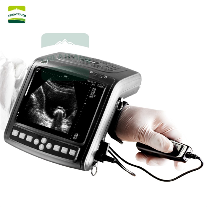 Portable Waterproof Veterinary Ultrasound